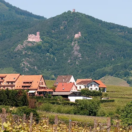 Restaurant Au Riesling 3* زيلينبيرغ