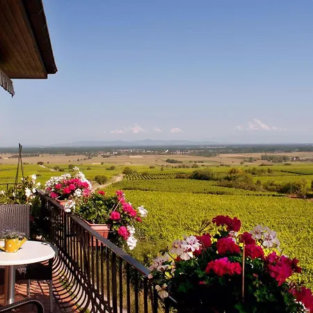 Restaurant Au Riesling زيلينبيرغ