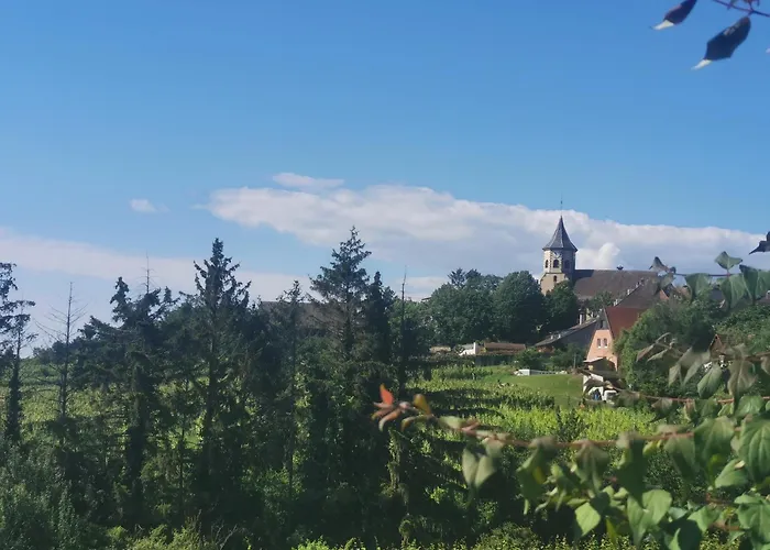 Hotel Restaurant Au Riesling