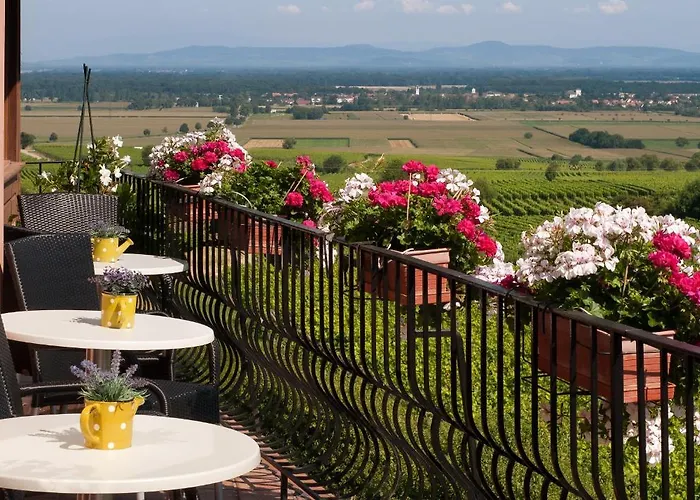 Hotel Restaurant Au Riesling 3*