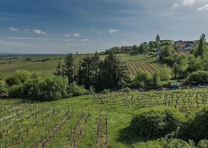 Hotel Restaurant Au Riesling